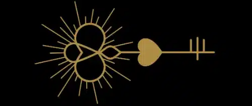 icon du logo de La suite étoilée